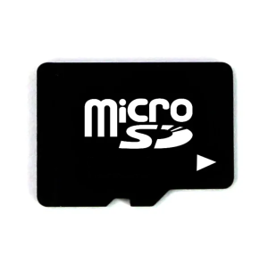 Atmiņas karte 256 GB